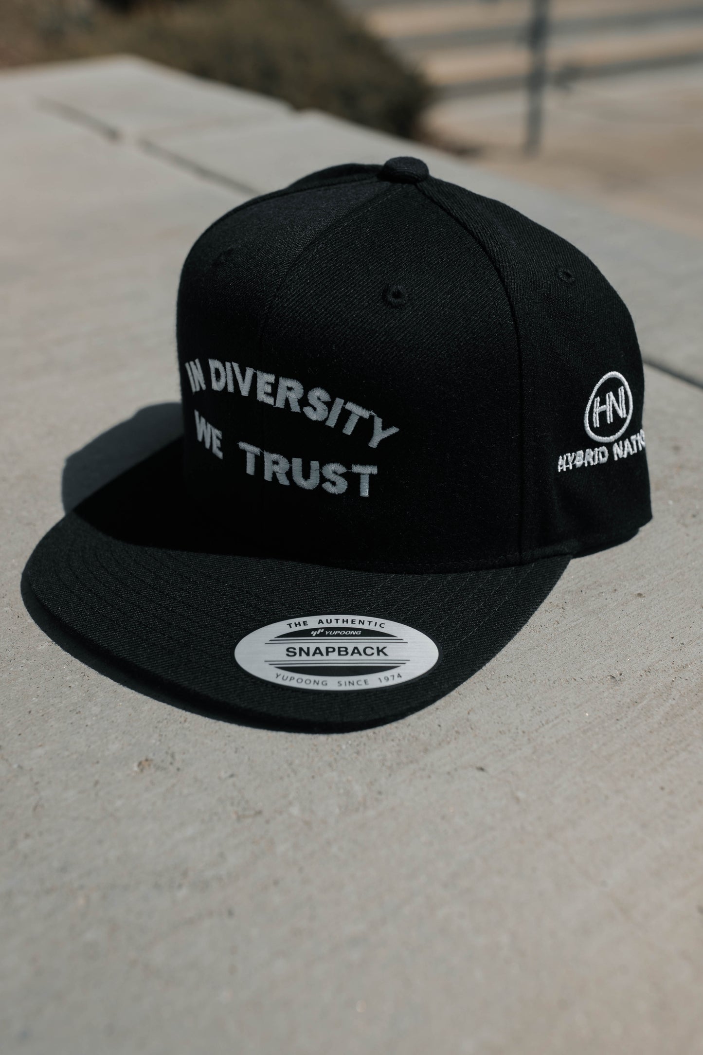 Hybrid Nation 'IDWT' Snapback