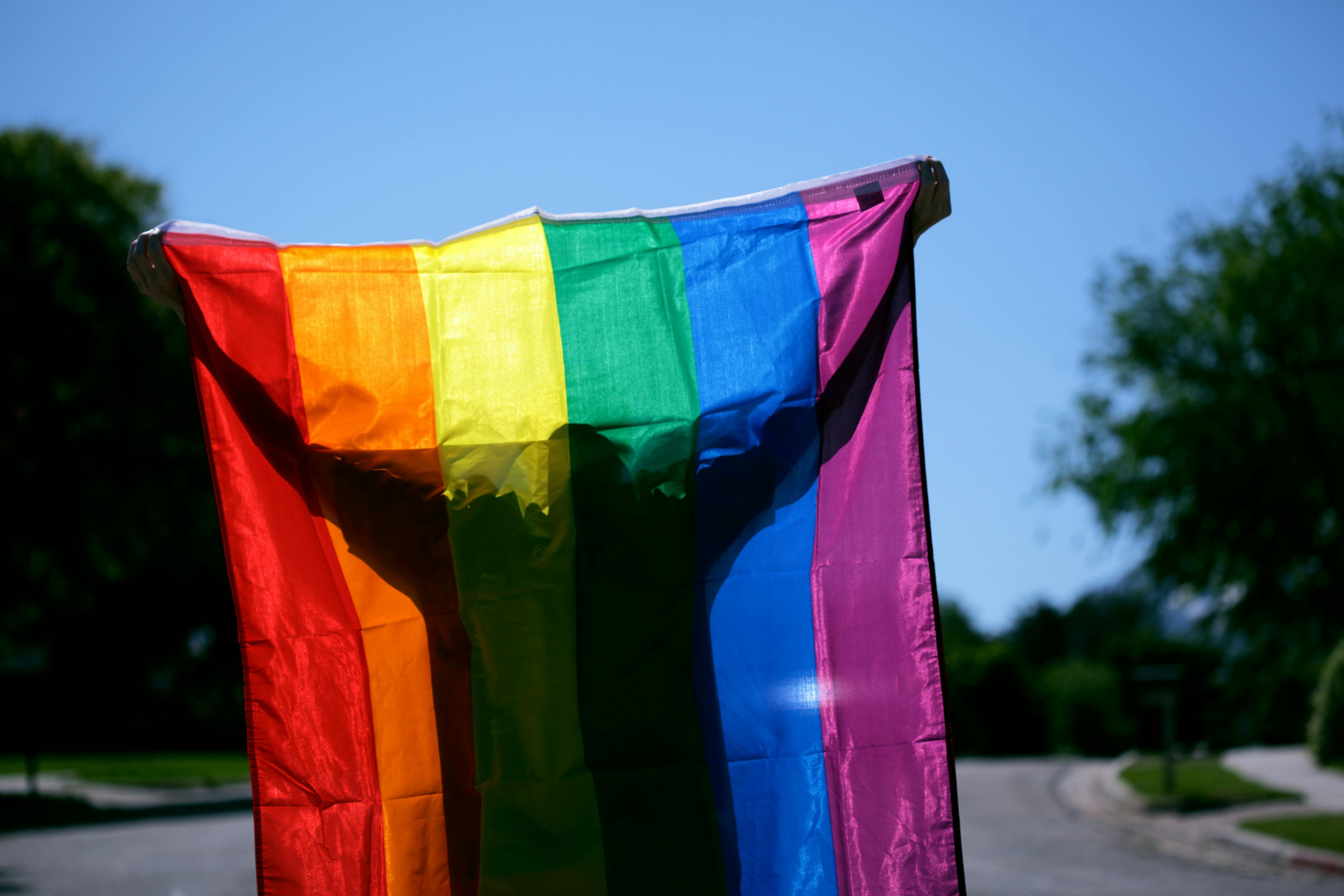 Queerness, Culture, and the Myth of the Straight Default