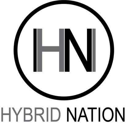 Hybrid Nation 
