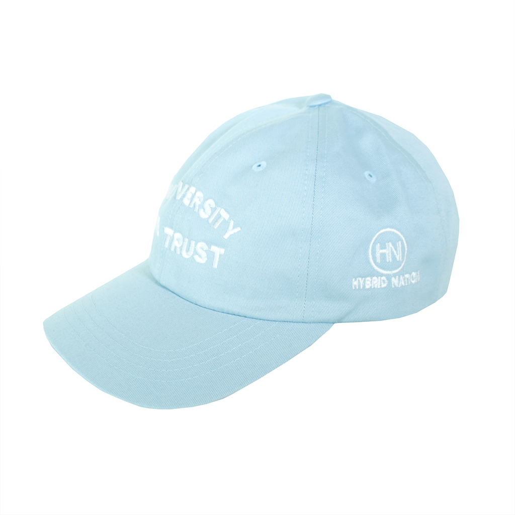 Hybrid Nation IDWT Dad Hat
