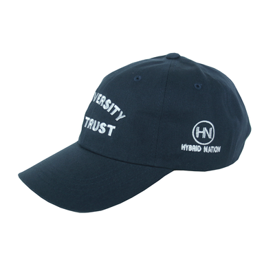 Hybrid Nation IDWT Dad Hat