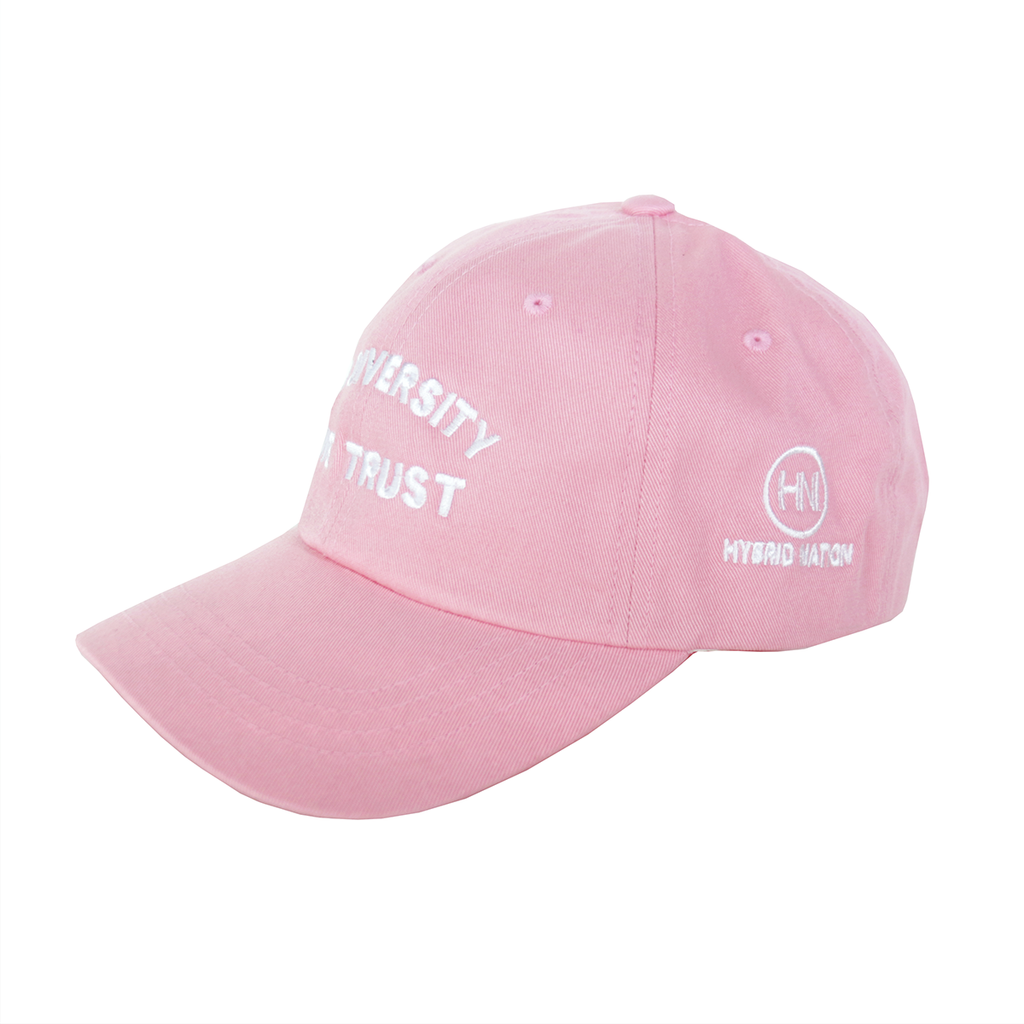 Hybrid Nation IDWT Dad Hat
