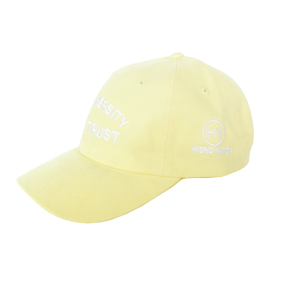 Hybrid Nation IDWT Dad Hat