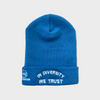 HYBRID NATION "IDWT" BEANIE