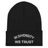 HYBRID NATION "IDWT" BEANIE Headwear Hybrid Nation - Accessories (on blanks) Black