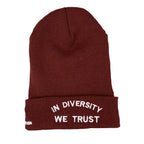 HYBRID NATION "IDWT" BEANIE Headwear Hybrid Nation - Accessories (on blanks) Burgundy 