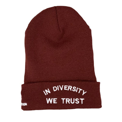 HYBRID NATION "IDWT" BEANIE Headwear Hybrid Nation - Accessories (on blanks) Burgundy