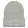 HYBRID NATION "IDWT" BEANIE Headwear Hybrid Nation - Accessories (on blanks) Light Grey