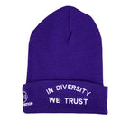 HYBRID NATION "IDWT" BEANIE Headwear Hybrid Nation - Accessories (on blanks) Purple 