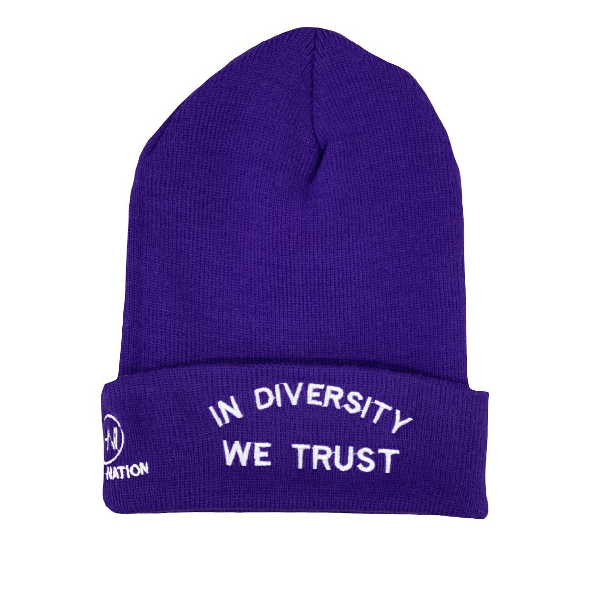HYBRID NATION "IDWT" BEANIE Headwear Hybrid Nation - Accessories (on blanks) Purple 