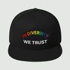 HYBRID NATION "IDWT" SNAPBACK (PRIDE ED.) Headwear Hybrid Nation - Accessories (on blanks)